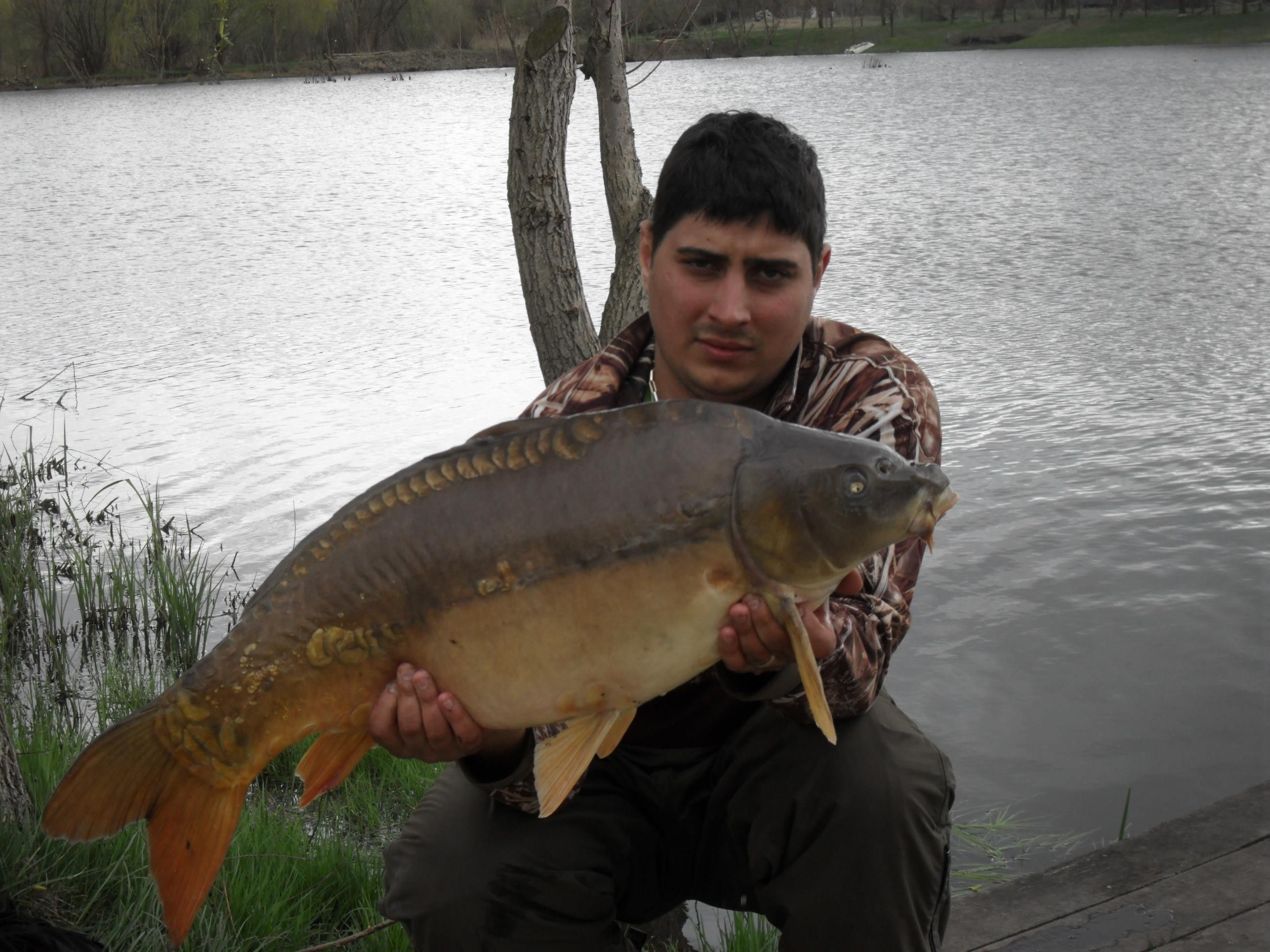 Palic 2012 primavara - SAM_0611.JPG